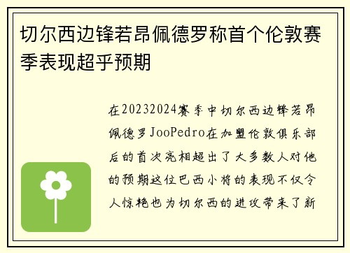 切尔西边锋若昂佩德罗称首个伦敦赛季表现超乎预期